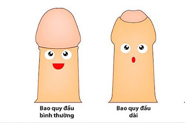 Dai-bao-quy-dau
