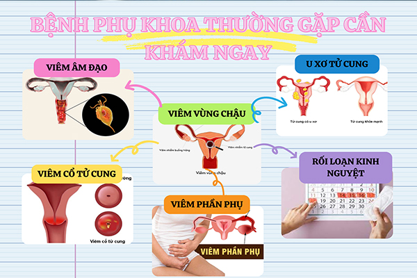 Các bệnh lý phụ khoa thường gặp cần thăm khám sớm